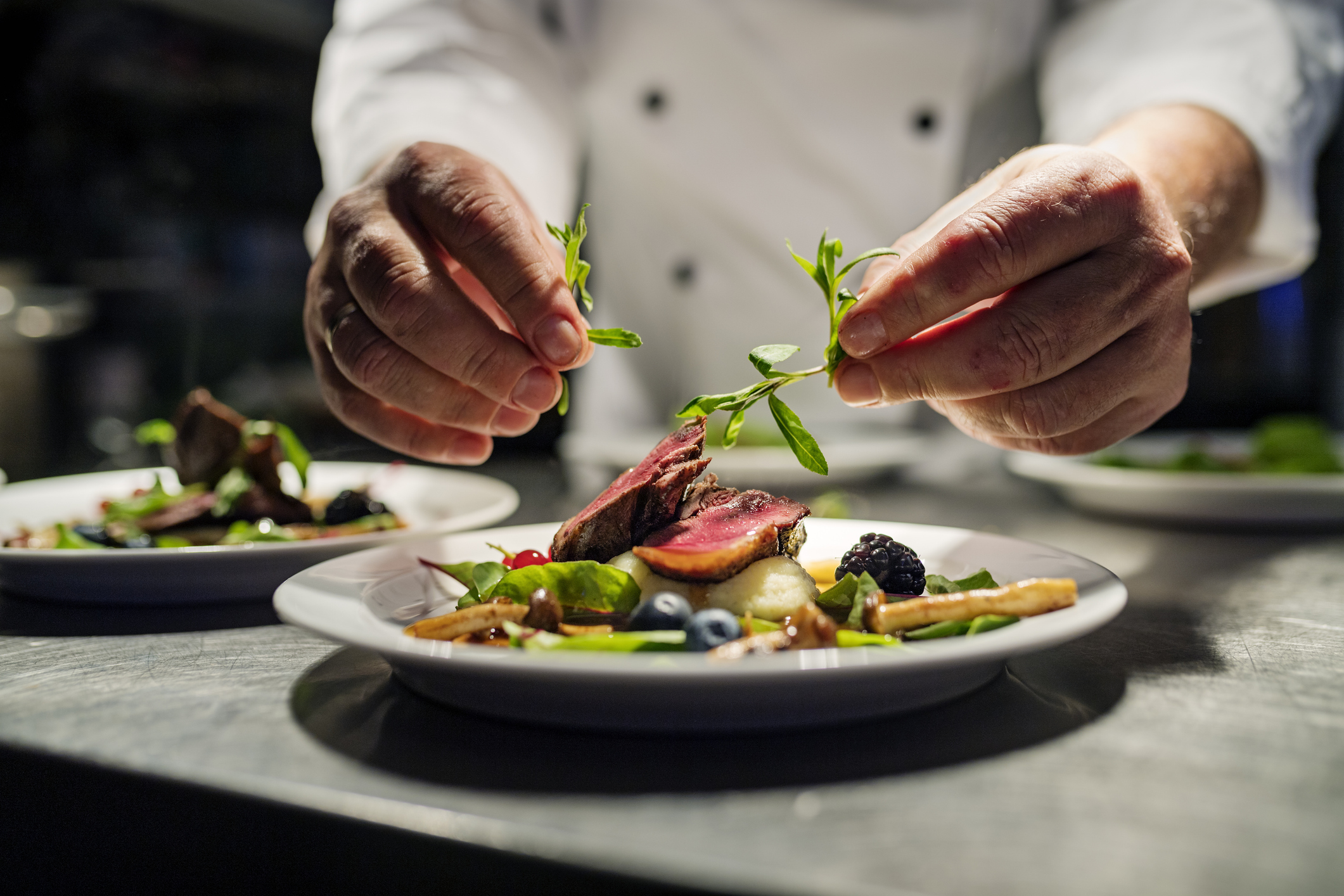 Chef adding the final flourish by adding some liquorice flavoured  parsley to the dish. The dish is, pan fried pink duck breast onto a bed of parsnip puree with seasonal autumn vegetables and berries. Colour, horizontal with some copy space, photographed on location in a restaurant on the island of Møn in Denmark.
